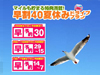 オリックスレンタカー石垣島店「お得な夏休みドライブプラン」ご予約受付中!!